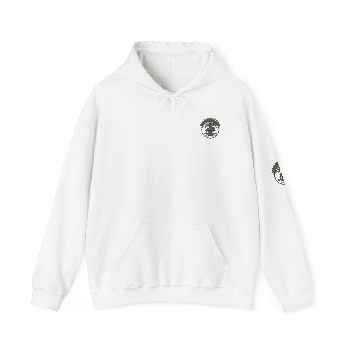 Niagara Falls Hoodie – Vintage Landscape Graphic with Coordinates