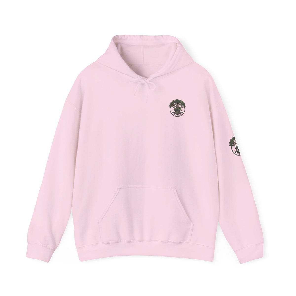 Niagara Falls Hoodie – Vintage Landscape Graphic with Coordinates